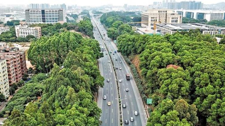 深圳「梅觀高速」正式更名為「梅觀大道」