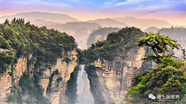 華春瑩向海外推介張家界風(fēng)景