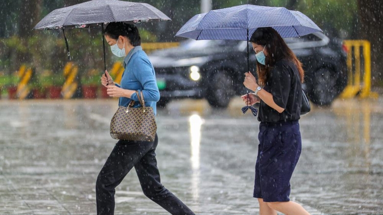 受「海葵」殘餘環(huán)流與西南季風(fēng)影響 深圳降雨將持續(xù)至10日