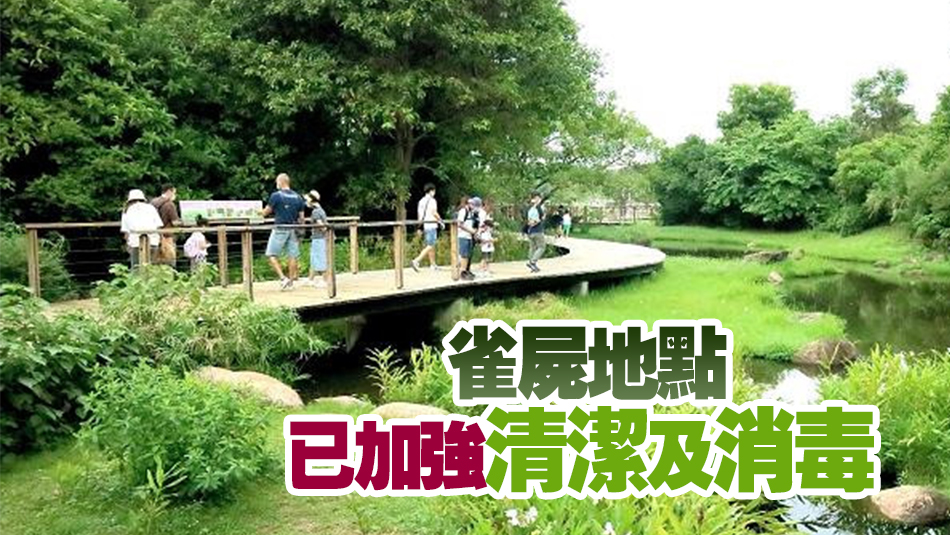 ?濕地公園兩具雀屍對(duì)H5病毒測(cè)試呈陽(yáng)性反應(yīng) 暫無(wú)爆疫