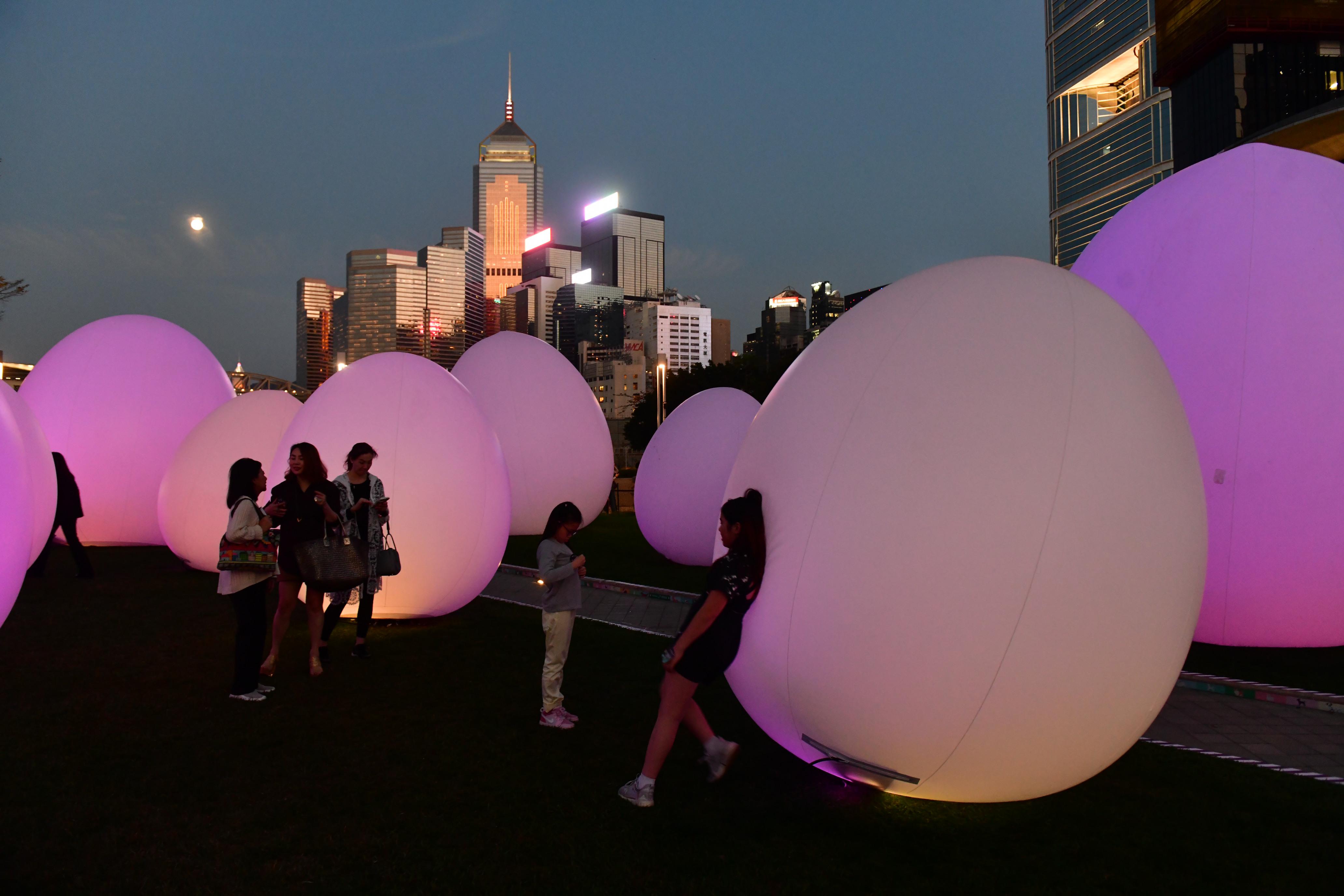 「藝術(shù)@維港2024」點(diǎn)綴維港兩岸 「teamLab：光漣」團(tuán)隊介紹創(chuàng)作理念