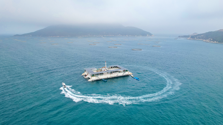 有片 | 登上「澎湖號(hào)」 去看霍啟剛關(guān)注的新能源海洋牧場(chǎng)平臺(tái)