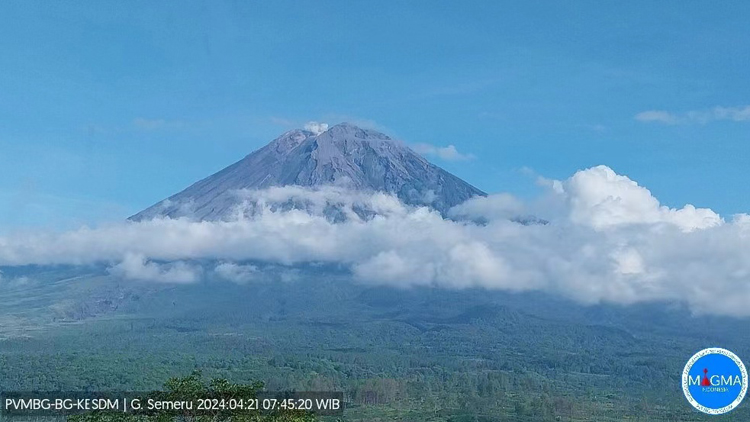 印尼塞梅魯火山噴發(fā) 火山灰柱達(dá)300米