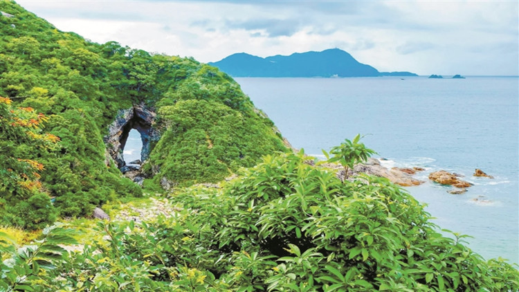 文旅芬芳五月天 約會(huì)深圳山海間