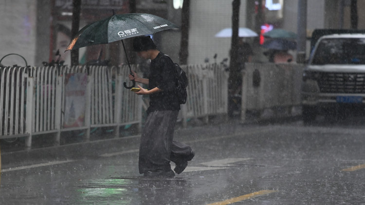 深圳市交通運輸局發(fā)布2024年暴雨天氣出行指引