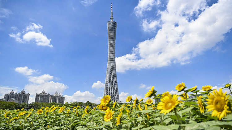 向「新」提「質(zhì)」贏未來(lái)！廣東加速發(fā)展新質(zhì)生產(chǎn)力