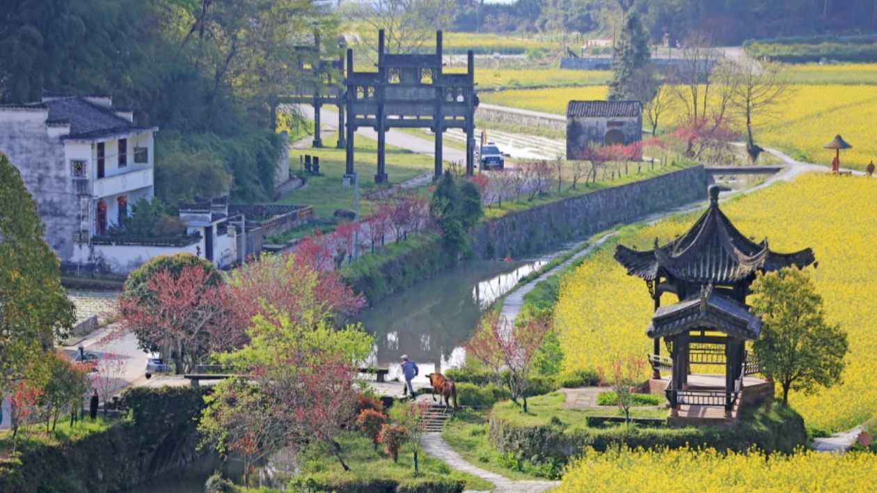 【康養(yǎng)中國(guó)】康養(yǎng)「藍(lán)海」引得澳門(mén)客商青睞   皖徽州區(qū)擦亮潛口康養(yǎng)小鎮(zhèn)品牌