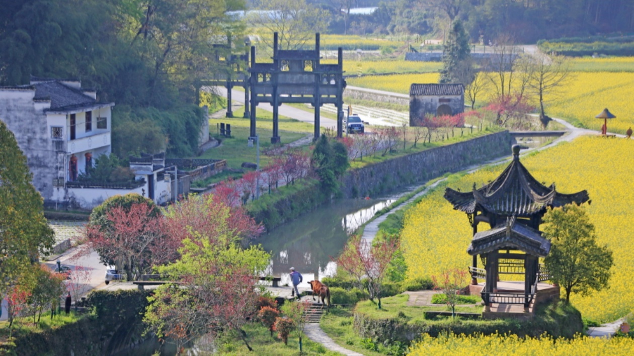 【康養(yǎng)中國(guó)】康養(yǎng)「藍(lán)海」引得澳門客商青睞  皖徽州區(qū)擦亮潛口康養(yǎng)小鎮(zhèn)品牌