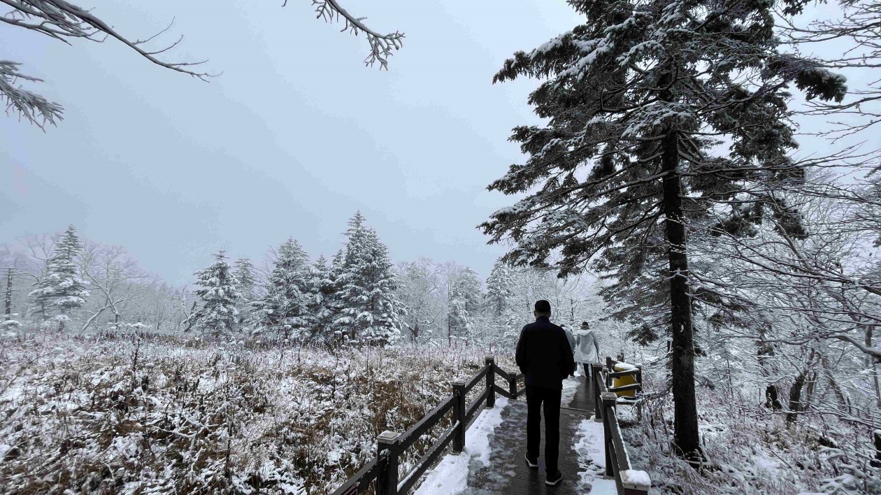 國慶假期首日 龍江森工集團(tuán)鳳凰山景區(qū)瑞雪迎客