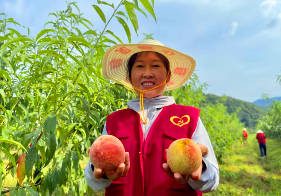 打造多元的特色產(chǎn)業(yè)  皖黟縣持續(xù)發(fā)力強化產(chǎn)業(yè)幫扶