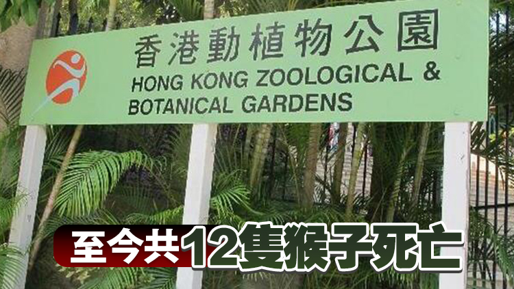 康文署：香港動(dòng)植物公園再多一隻白臀長(zhǎng)尾猴死亡