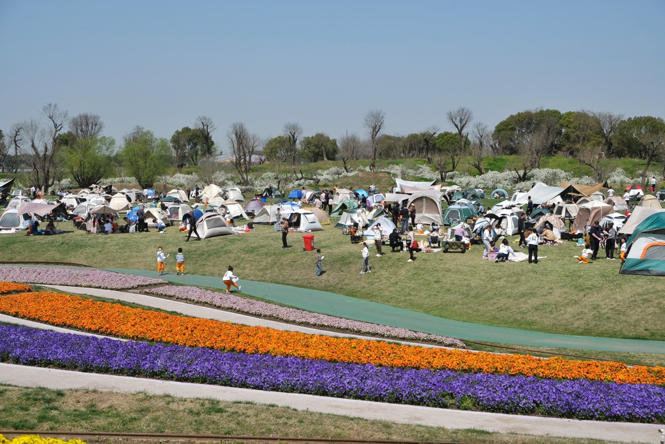 圖3：通州區(qū)開沙島洲際夢幻島大草坪已成為人氣爆棚的春日踏青露營地。.jpeg